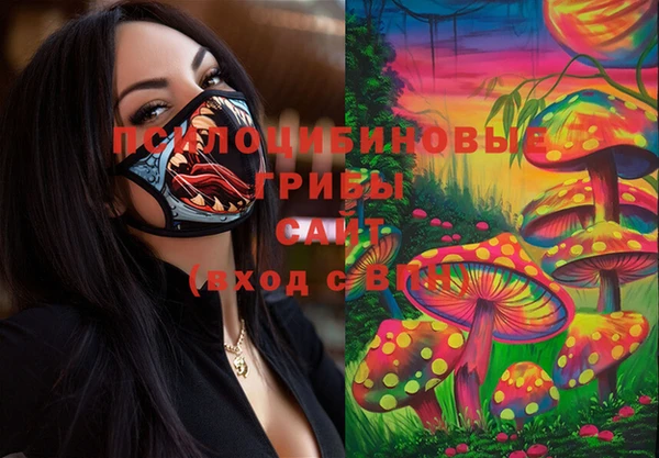 Альфа ПВП Балабаново