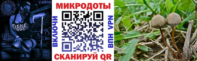 Псилоцибиновые грибы Magic Shrooms  сколько стоит  Болохово 